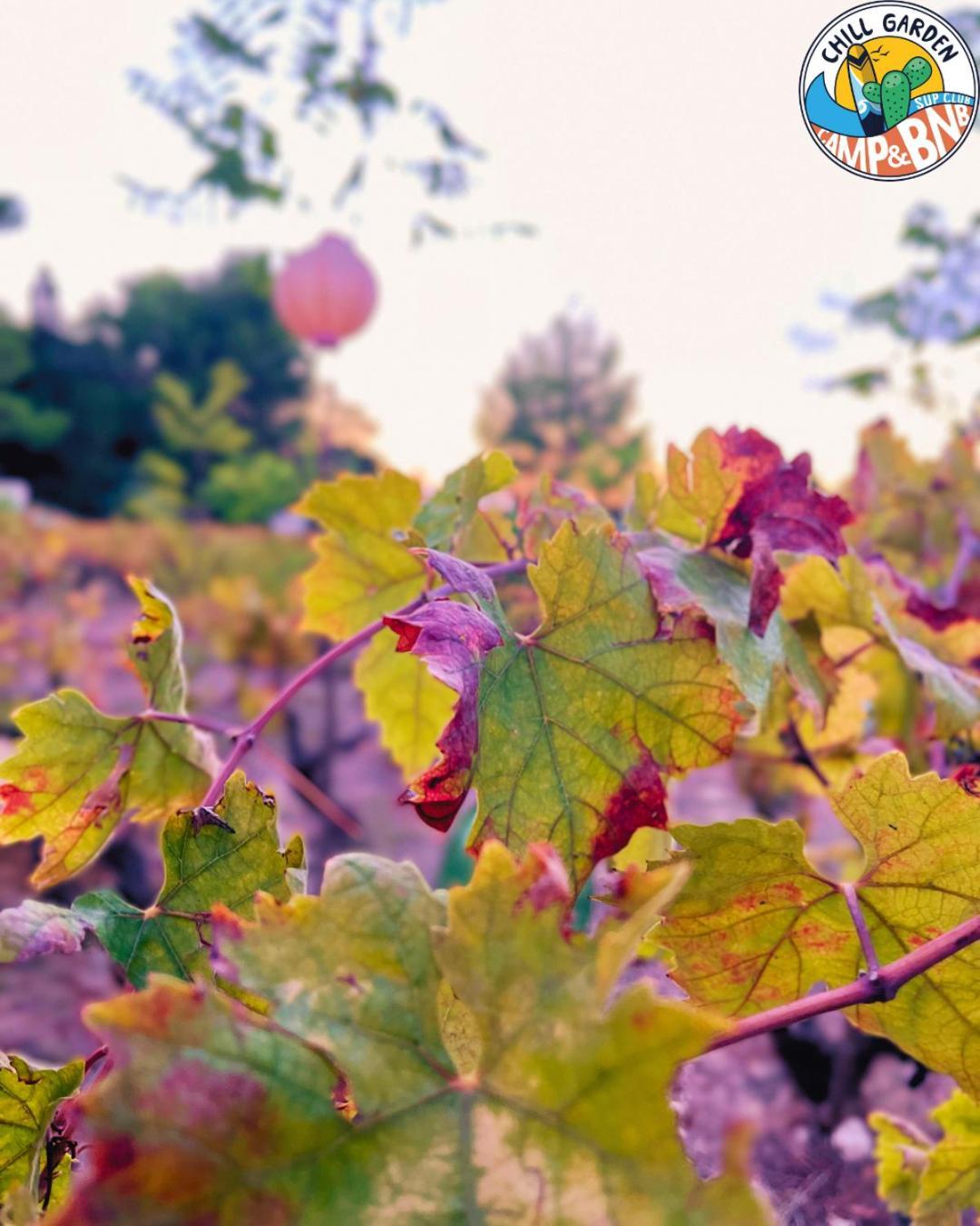 Chill Garden Experience B&B San Pietro in Bevagna Exterior photo